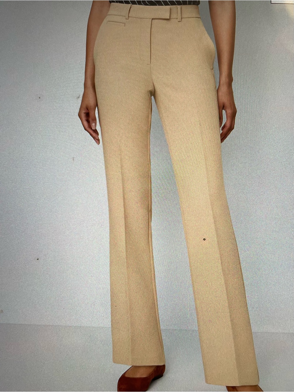 Ann Taylor Bridgette Tailored High-Waist Straight-Leg Pants in Tan, 4 NWT